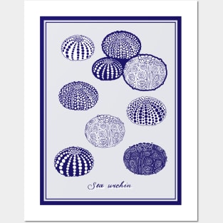 Blue Set of Sea Urchins. Realistic sea life drawings. Posters and Art